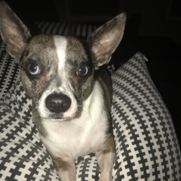 Meet your Posher, Melissa - Picture 2 of 4